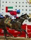 Sports: The Dubai World Cup