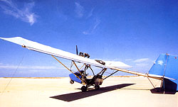 Microlight plane